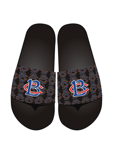 Slides