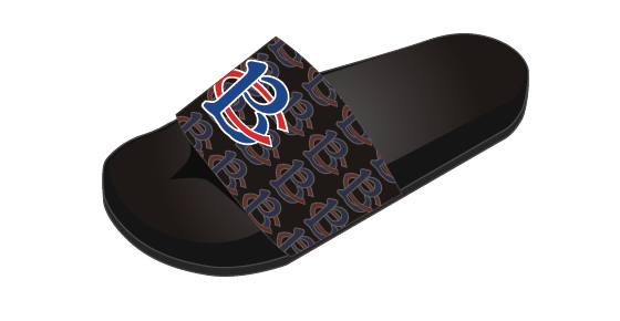 Slides